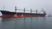 曳船 販売中