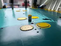 Ro-Ro船 販売中