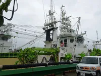 巻き網漁船 販売中