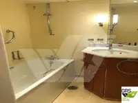 クルーズ船 販売中