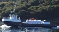 作業船 販売中