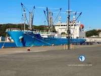 冷凍船 販売中