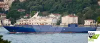 Ro-Ro ship 販売のため