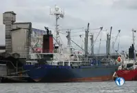 冷凍船 販売のため