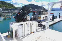 カタマラン 販売中