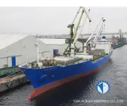 冷凍船 販売中