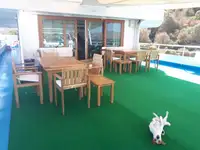 多目的船 販売中