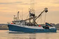 Purse seiner 販売のため