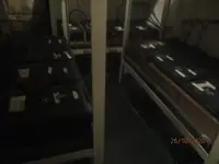 冷凍船 販売中