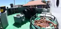 曳船 販売中