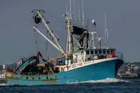 Purse seiner 販売のため