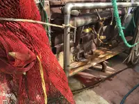 トロール漁船 販売中