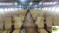 Ro-Ro船 販売中