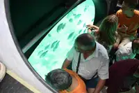 潜水艦 販売中
