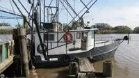 Trawler 販売のため