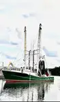 Trawler 販売のため