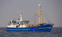 Beam trawler 販売のため
