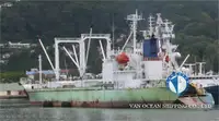 冷凍船 販売中