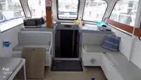 フェリー 販売中