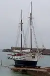 フェリー 販売中
