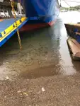 Ro-Ro船 販売中