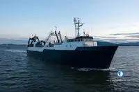 Trawler 販売のため