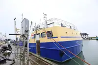 クルーズ船 販売中