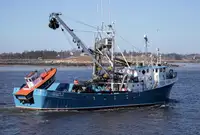 Purse seiner 販売のため