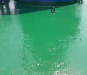 ばら積み貨物船 販売中