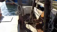 トロール漁船 販売中