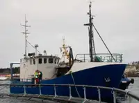 Trawler 販売のため