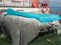曳船 販売中