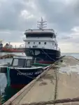 Purse seiner 販売のため