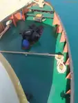 曳船 販売中