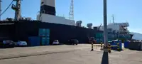 Ro-Ro船 販売中