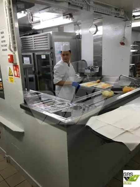 クルーズ船 販売中