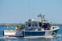 Purse seiner 販売のため