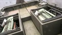 曳船 販売中