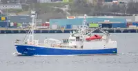 Purse seiner 販売のため