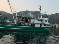 巻き網漁船 販売中