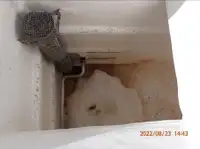 巻き網漁船 販売中