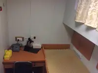 曳船 販売中