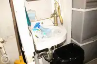 フェリー 販売中