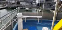 カタマラン 販売中