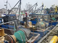 生きた魚輸送船 販売中
