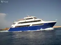 ダイビングサポート 販売のため