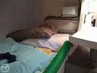 カッター 販売中