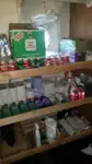 クルーズ船 販売中