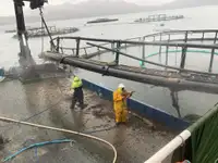 作業船 販売中