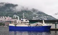 Purse seiner 販売のため